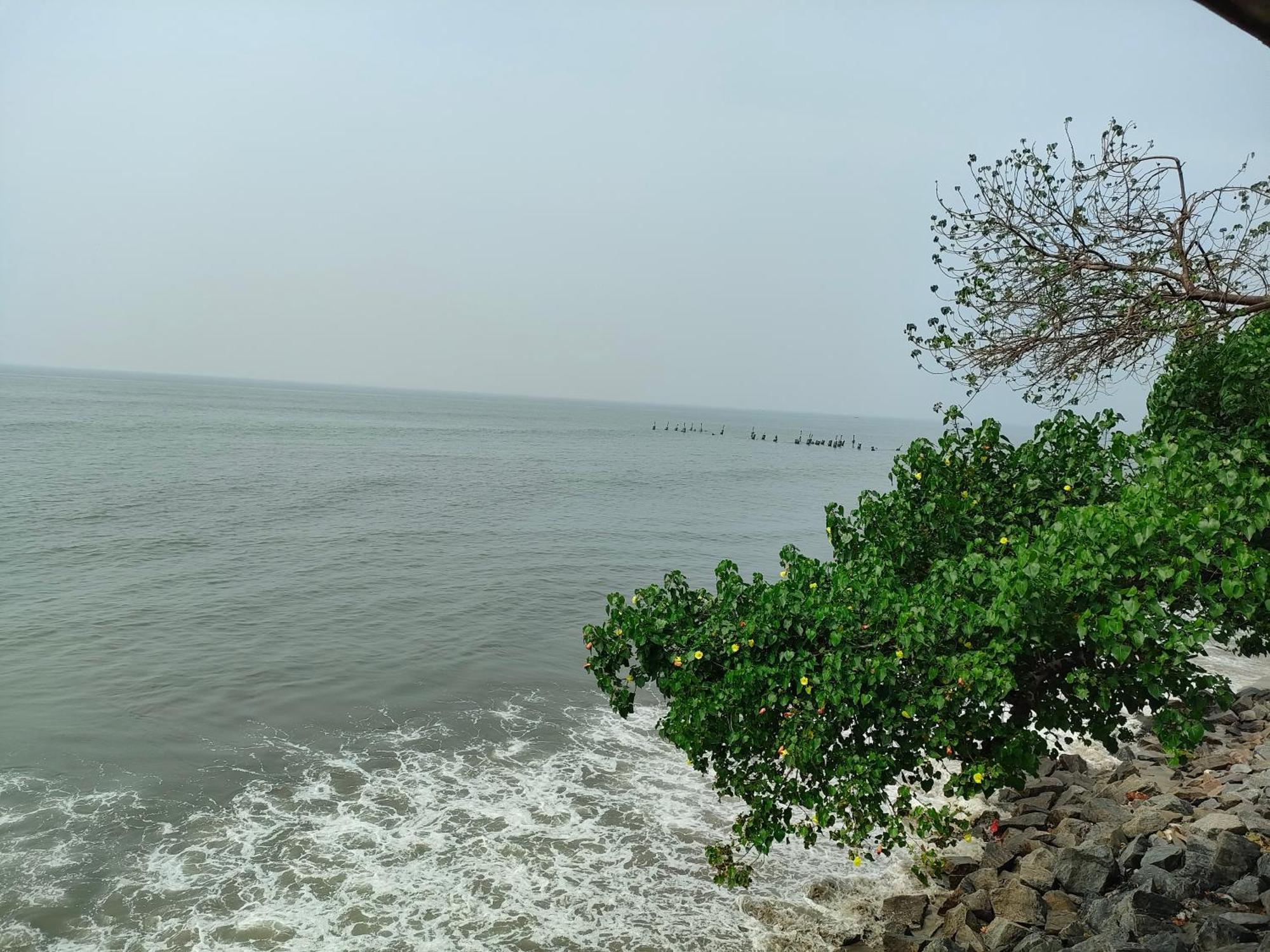 Pallipuram Coastal Den Homestay מראה חיצוני תמונה